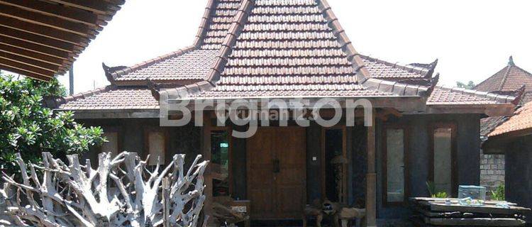 Longterm Rumah Semi Villa di Kerobokan 1