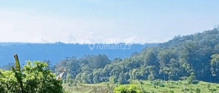 Dijual Murah Tanah Di Daerah Munduk Bedugul Zona Kuning Bali 1