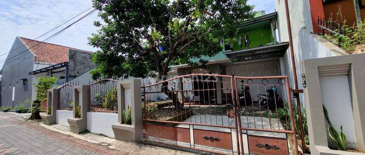 Kost Prospek Kampus Undip, Dijual Segera Dan Murah, SHM 1