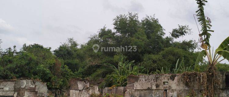 Murah Tanah di Ploso Jombang Cocok Industri Pergudangan  1