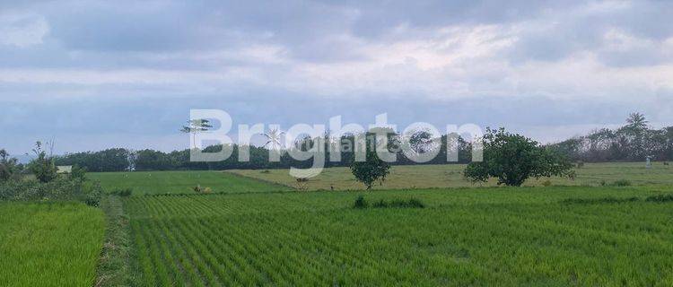 Land with mountain and beach views measuring 49.9 ares in Pangyangan Village, Jembrana, Bali 1