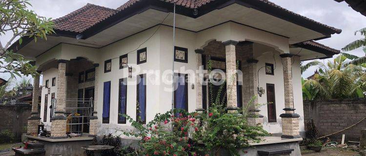 Rumah style Bali dibawah 1 M dilahan 400 m² di Desa Dauhwaru Jembrana Bali 1
