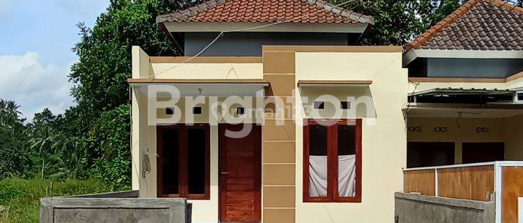 Rumah Murah Cempaka Putih Tabanan 1