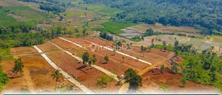 Tanah Wisata Di Lokasi Agroeduwisata Untuk Investasi Menguntungkan  1