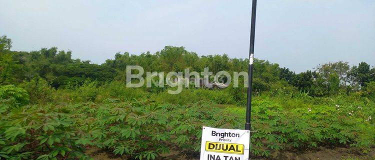 JUAL TANAH LAMONGAN 1