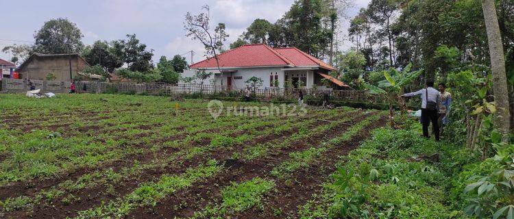 Tanah Murah Dekat Suvarna Sutera, Terima SHM 1