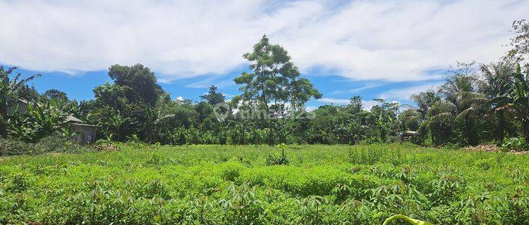 Murah Tanah Cisauk 8 Menit Stasiun Jatake Bsd 1