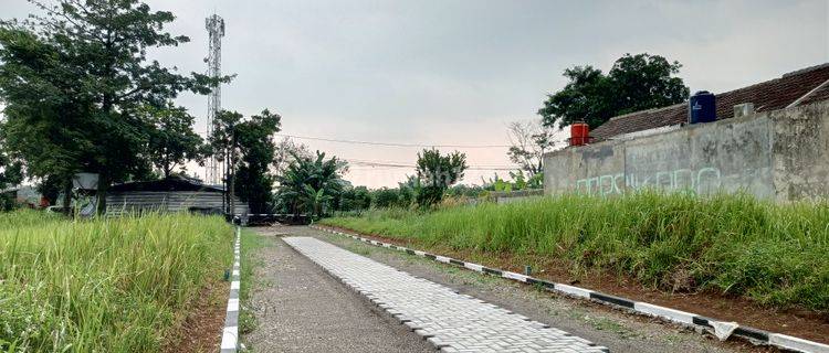 Tanah 5 Menit Gerbang Tol Borr, Legalitas SHM Siap Bangun 1