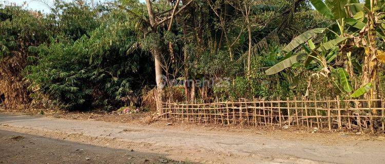 Tanah Dekat Suvarna Sutera, Murah Terima Lahan Matang 1