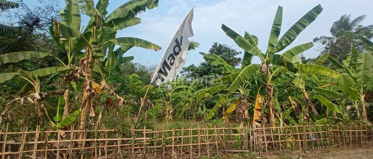 Tanah Murah Terima Shm, Dekat Suvarna Sutera Tangerang 1