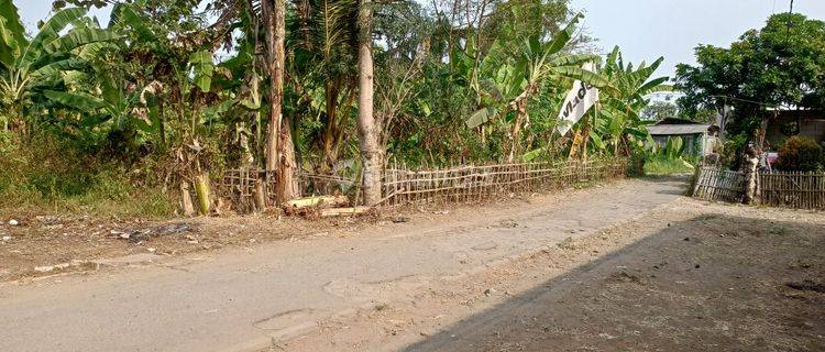 Tanah Murah Terima Shm, Dekat Suvarna Sutera 1