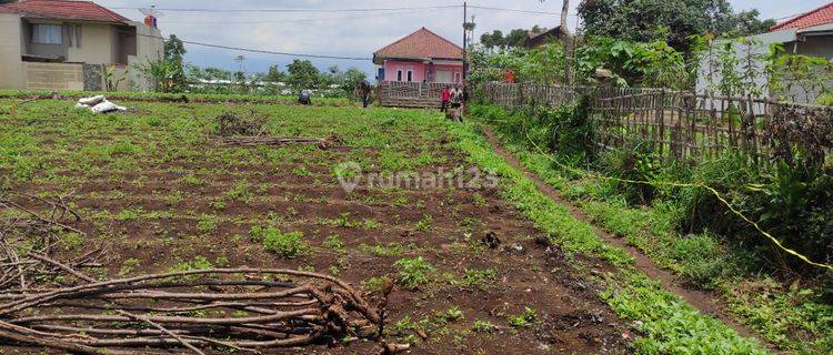 Tanah Murah 5 Km Tol Balaraja Timur, Terima SHM 1