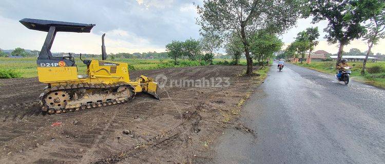 11 Menit Tol Legok, Tanah Murah Cisauk Free SHM 1