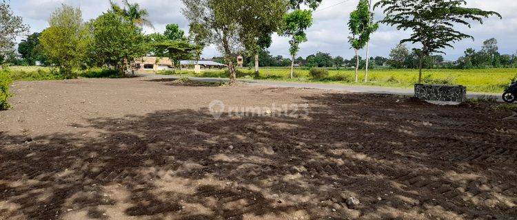 Tanah Murah Dekat Cimory Dairy Land Bsd, Harga 100 Jutaan 1