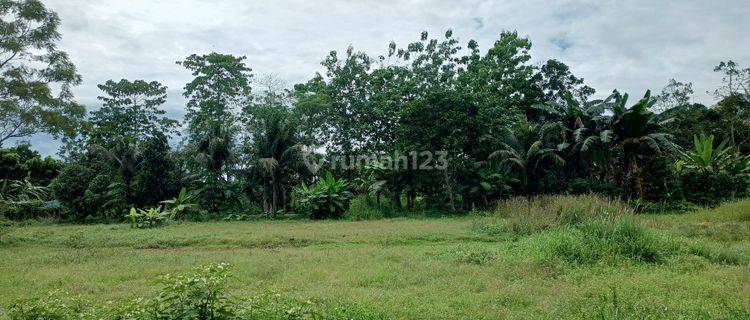 Tanah Murah 100 Juaan Cisauk, 8 Mneit Stasiun Jatake Bsd 1