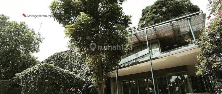 Dijual Cepat Rumah Tropis Modern Semi Furnish Dalam Komplek Di Pejaten Barat 1