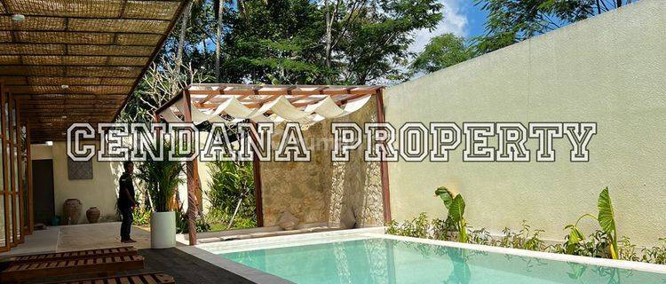 Brand New 3 Bedroom Villa Near To Central Ubud 1