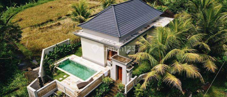 Modern Villa For Leasehold & Freehold In Ubud 1