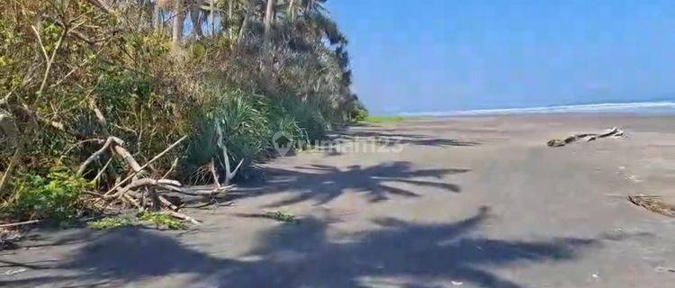 Dijual Tanah Los Langsung Ke Pantai di Pekutatan Jembrana Bali 1