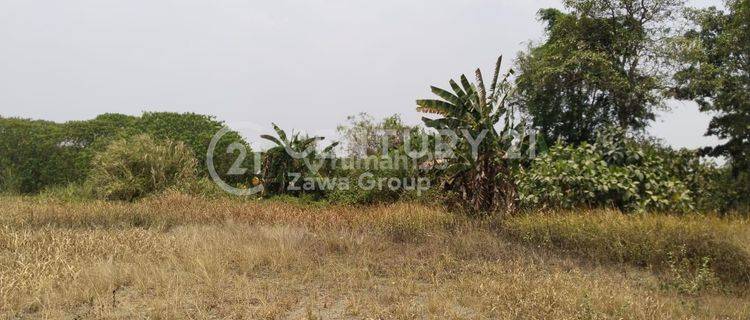 Jual Tanah Hadap Utara Lokasi Strategis Jln Raya Cisauk Tangerang 1