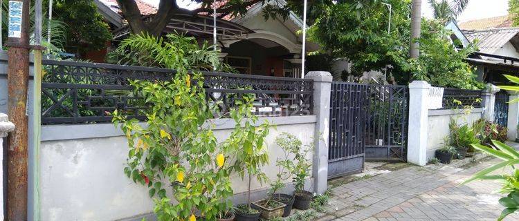 Rumah 1 Lantai Siap Huni di Petemon Sawahan Surabaya Barat 1