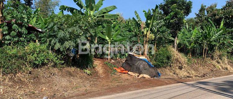 Tanah bukit pasir, sawah, danau jarak 3km ke pusat kota Cianjur, Jawa Barat 1