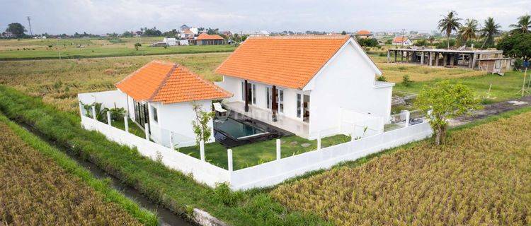 Villa Super Quite With Wide Range Rice Field View 1