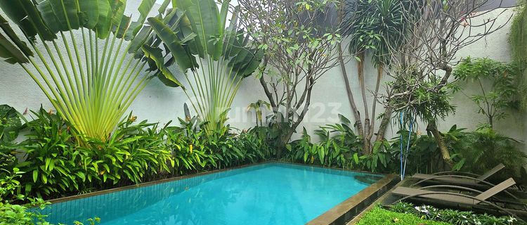 Good Renovated Kemang House for Rent Ex Expat Fully Furnished 1