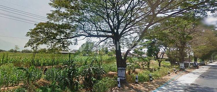 Tanah Luas di Nol Jalan Raya Pasuruan Malang 1