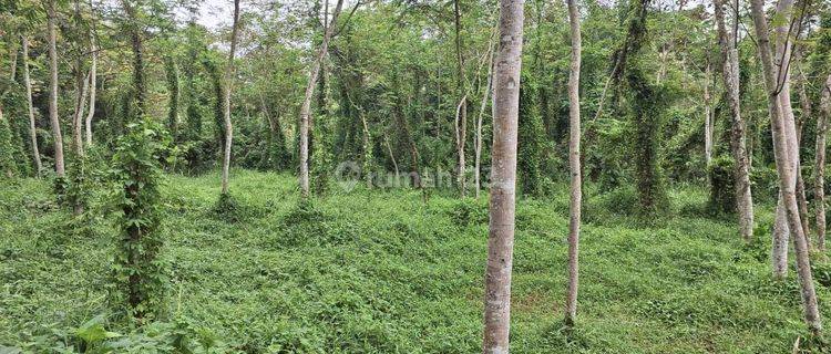 Tanah Siap Bangun di Jatikerto, Kromengan Kab. Malang 1