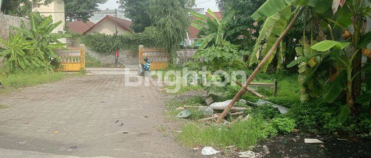 RUMAH HALAMAN SANGAT LUAS COCOK UNTUK USAHA RENTAL MOBIL 1