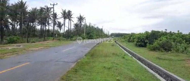 Tanah di jalan raya Binuangeun. Lokasi di pinggir pantai. 1