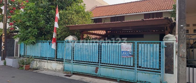 Rumah Vintage area bisnis 1