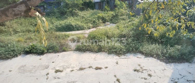 Land Area of 842 in the Center of Semarang City, City Center 1