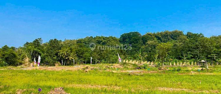 JUAL TANAH MURAH 70 JUTAAN PER 100 METER AKSES MUDAH  1