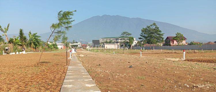 Jual Tanah Kavling Shm Dekat Tol Cigombong  1