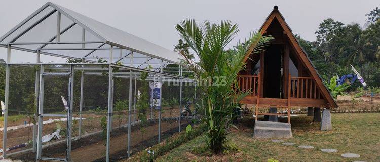 Tanah Murah View Indah Bonus Rumah Greenhouse  1