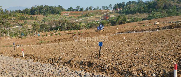 Tanah Murah Nempel Jalan Akses Puncak 2  1