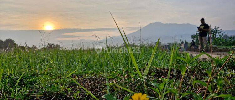 Tanah 100 m² SHM Hanya 5 Meit Dari Gerbang Tol  1