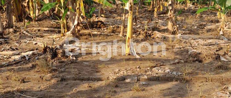 PARANGJORO, GROGOL, SUKOHARJO, JAWA TENGAH,MASIH TERSEDIA TANAH KAVLING, LOKASI BERADA DI KAWASAN PEMUKIMAN PENDUDUK, KE JALAN RAYA TELUKAN DEKAT HANYA 3 MENIT 1