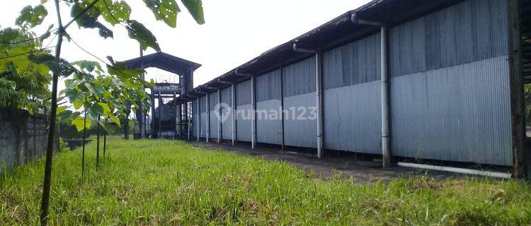 Pabrik Plywood Dan Tanah di Sukabumi Lokasi Pinggir Jalan 1