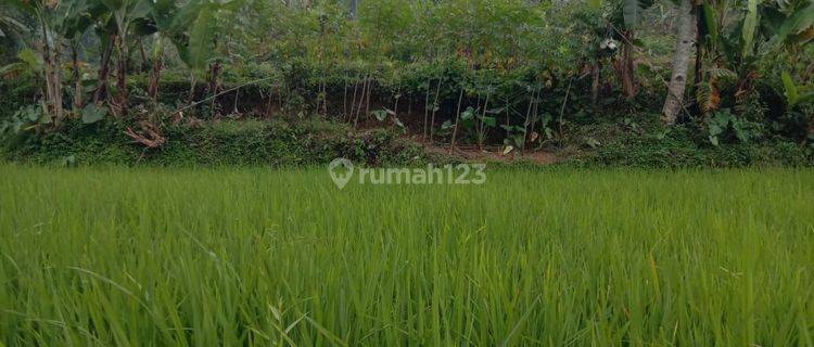 Di Jual Tanah Darat Sawah Cidahu Sukabumi 1