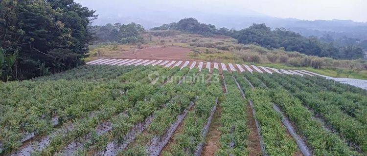 Di jual tanah desa ci saat ci curug sukabumi 1