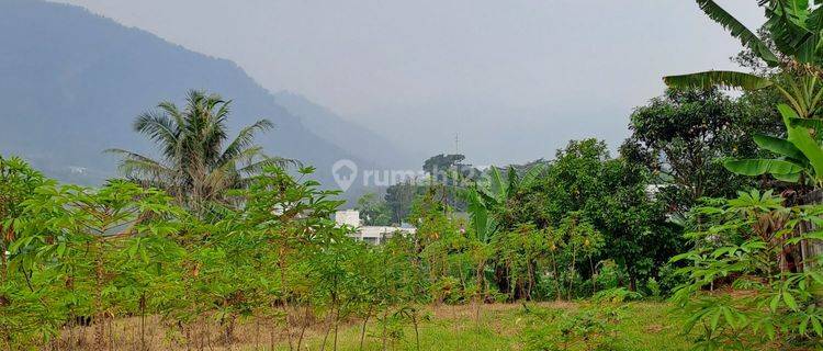 D jual tanah samping cluster sentul city 1