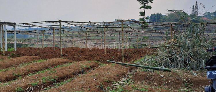 D jual tanah desa gunung gelis sukaraja 1