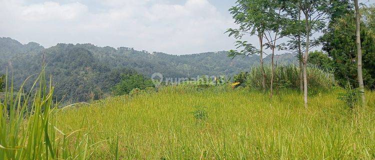 Di jual tanah kp wangun depok desa karang tengah   1