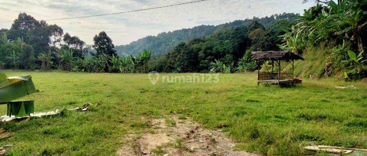 Di jual tanah  desa cibeber leuwiliang 1