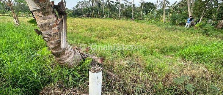 Di jual tanah d pantai carita pandeglang banten 1