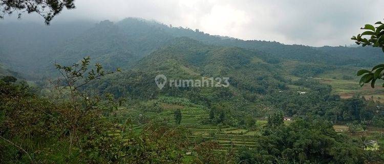 Di jual tanah cidahu sukabumi 1