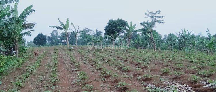 Di jual tanah desa mangunjaya ciambar sukabumi 1